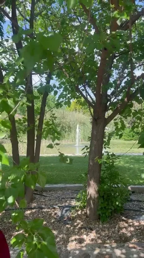 Jardines de la finca con lago y fuente, celebración al aire libre